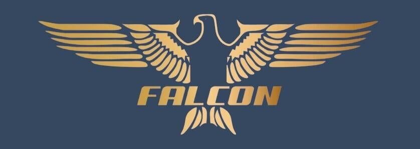 falconindialines.com